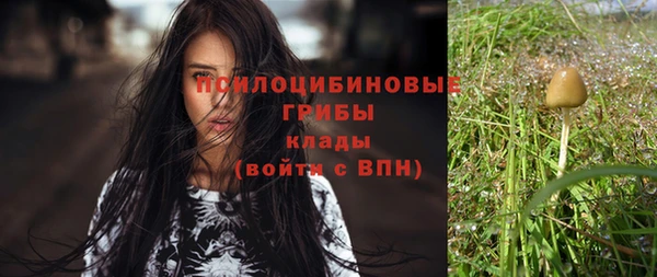соль курить ск Богородицк