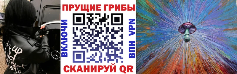 Галлюциногенные грибы Psilocybe Дудинка
