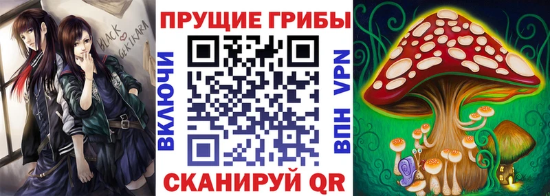 Галлюциногенные грибы Cubensis  Купить  Дудинка 